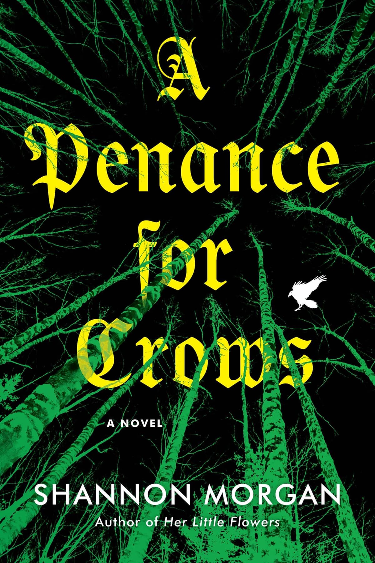 A Penance for Crows by Shannon Morgan, book cover