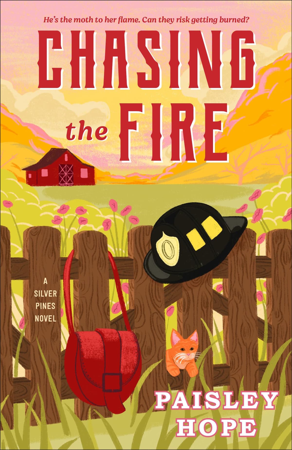 Chasing the Fire by Paisley Hope, book cover