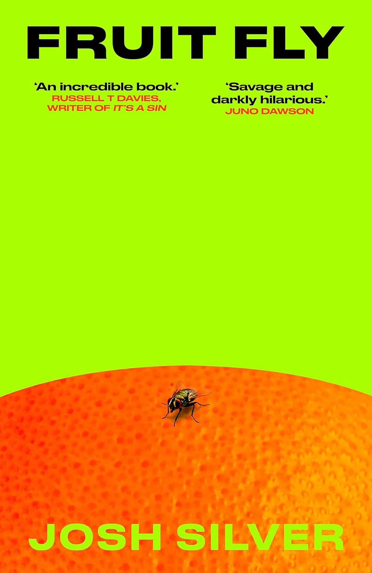 Fruit Fly by Josh Silver, book cover