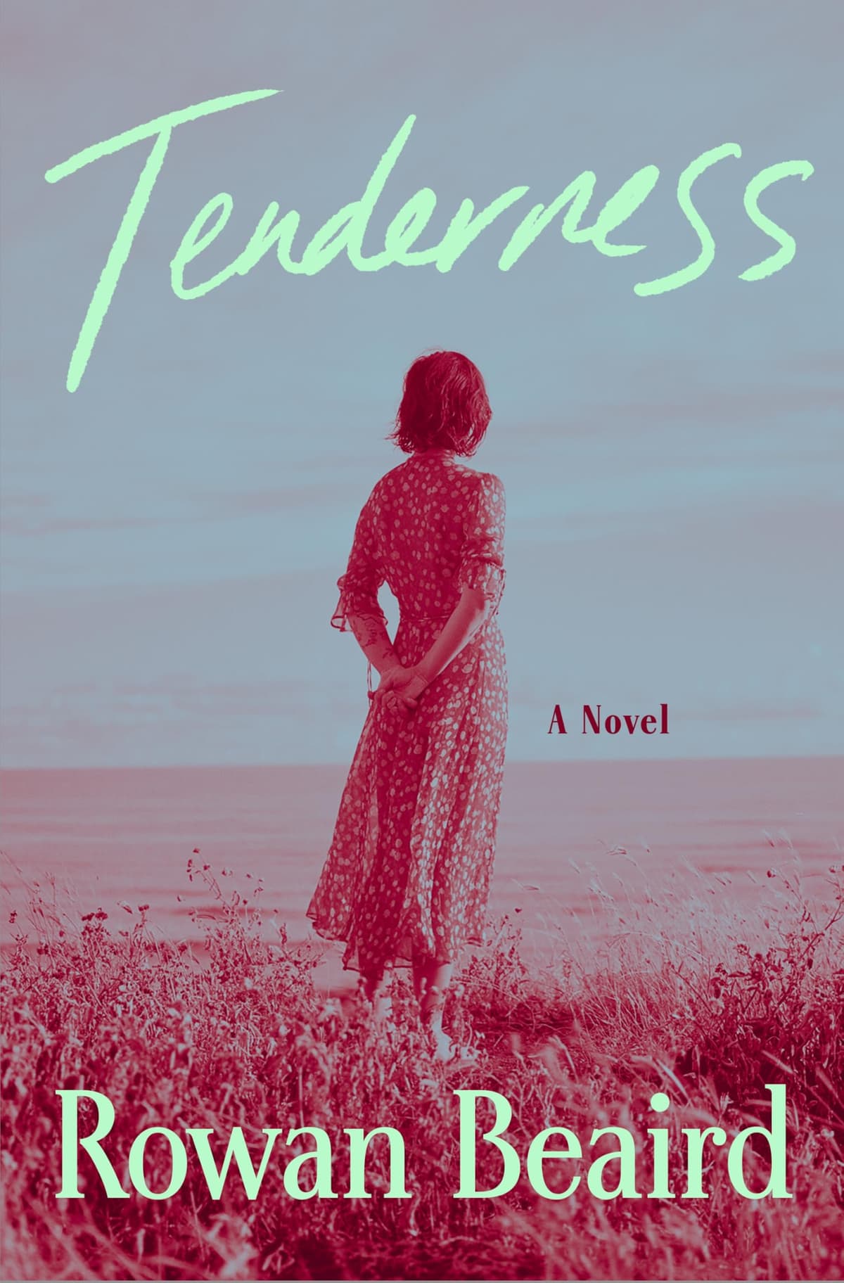 Tenderness by Rowan Beaird, book cover