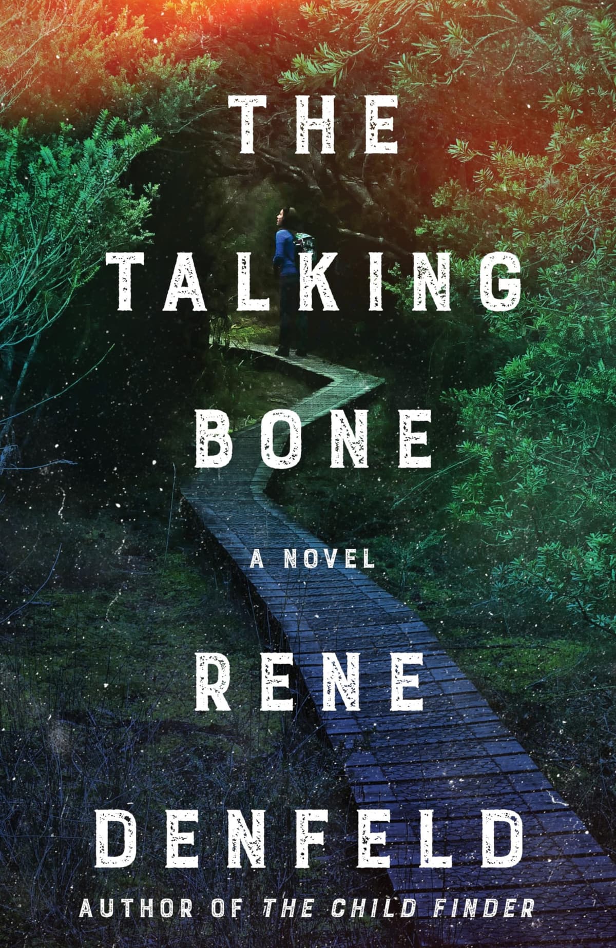 The Talking Bone by Rene Denfeld, book cover