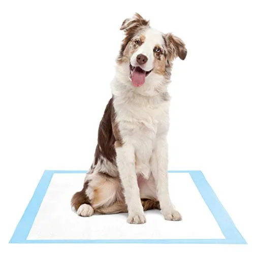 Solimo Super Absorbent Puppy Pads